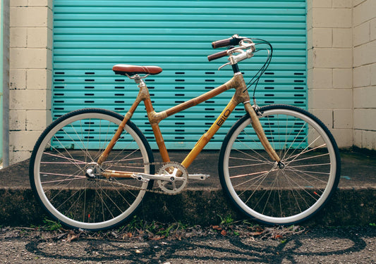 F1nn - Women's vintage commuter bamboo bicycle